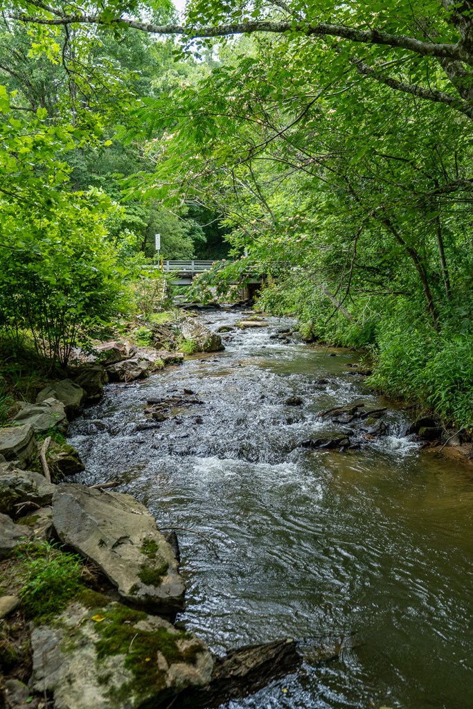 1440 Ed Graves Road Murphy, NC 28906 - Photo 5 of 54
