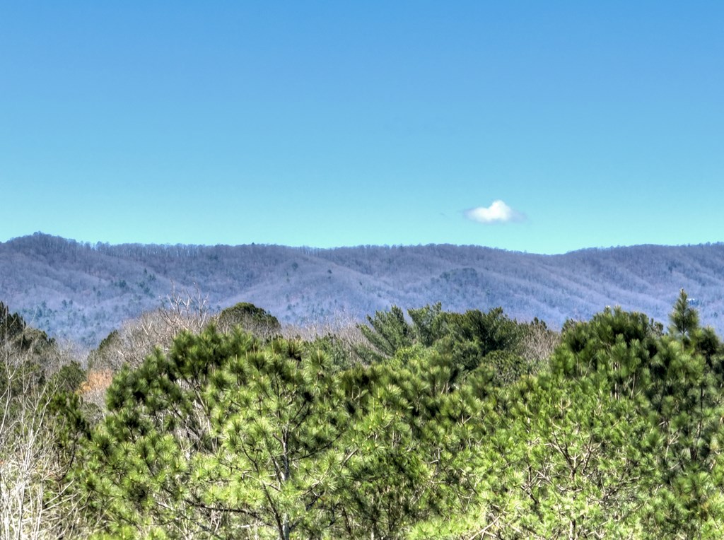 229 A Crossroads Church Road Ellijay, GA 30540 - Photo 10 of 71