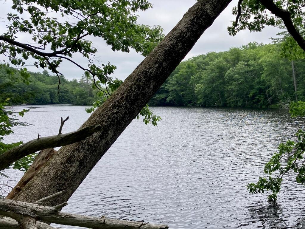 66 Old Falls Pond Road Alfred, ME 04002 - Photo 35 of 39 Down by the water