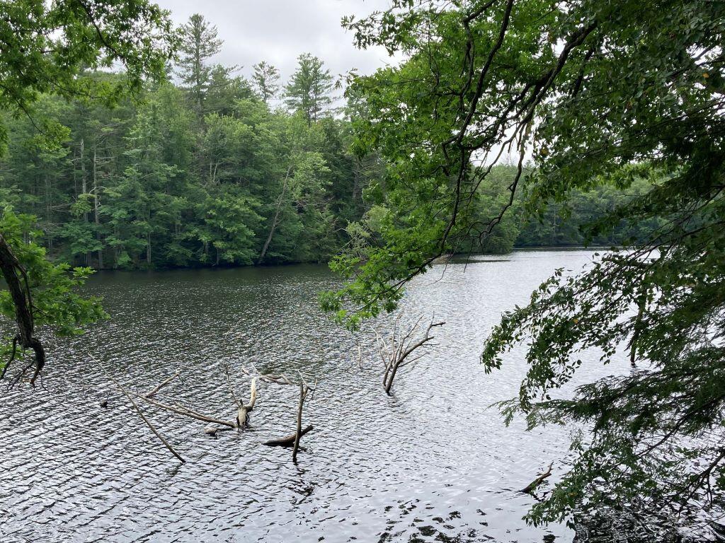 66 Old Falls Pond Road Alfred, ME 04002 - Photo 37 of 39 Water looking west