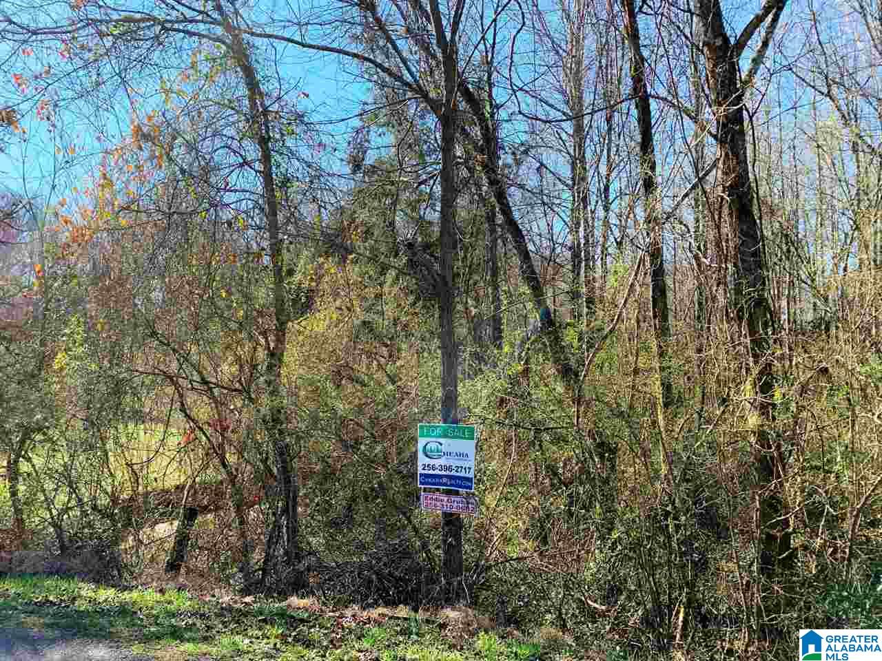 Blake Street, Unit 1 9ACRES Heflin, AL 36264 - Photo 3 of 7