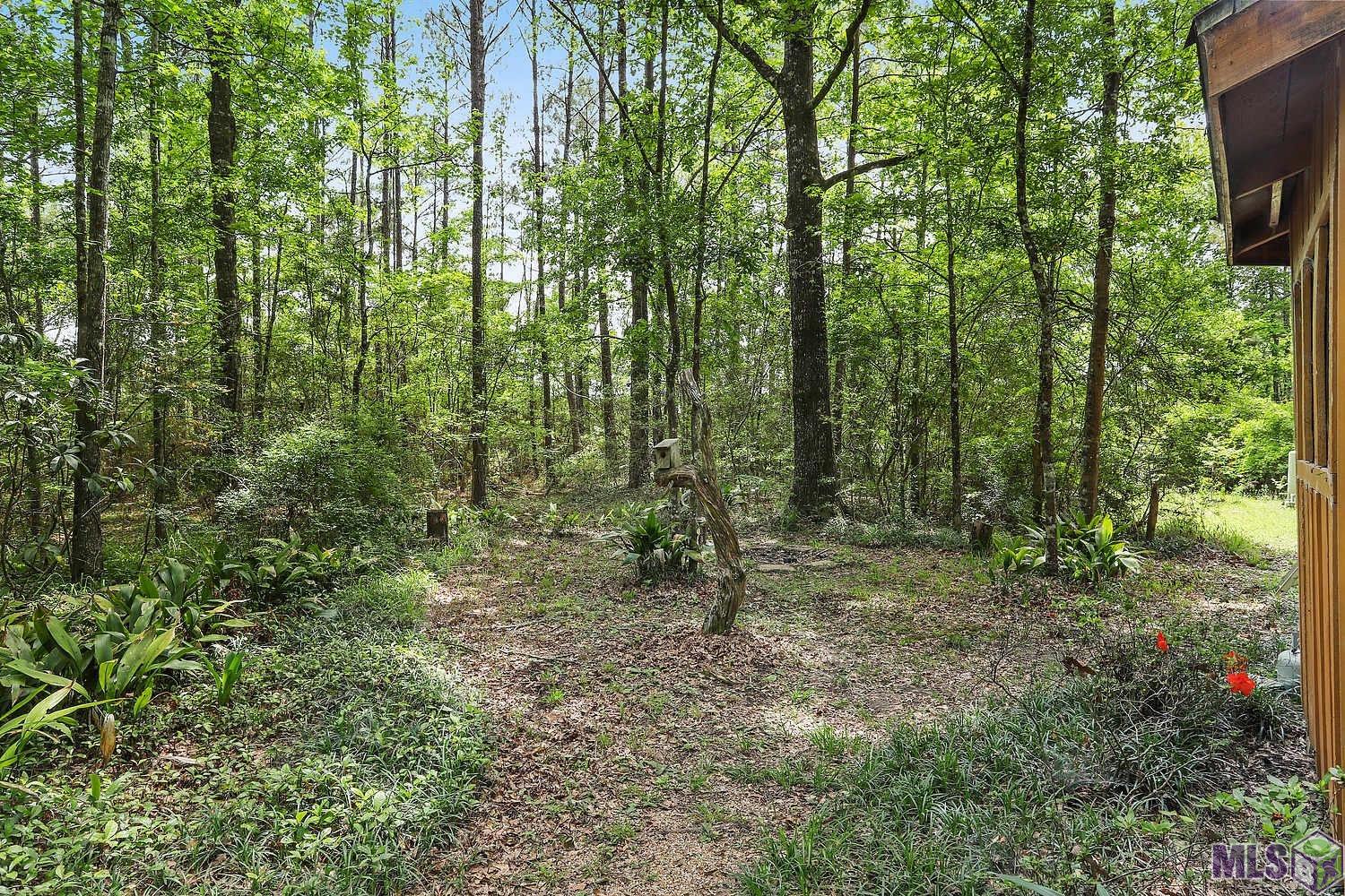 4402 Gilead Road Clinton, LA 70722 - Photo 18 of 25 Gallery Image 18