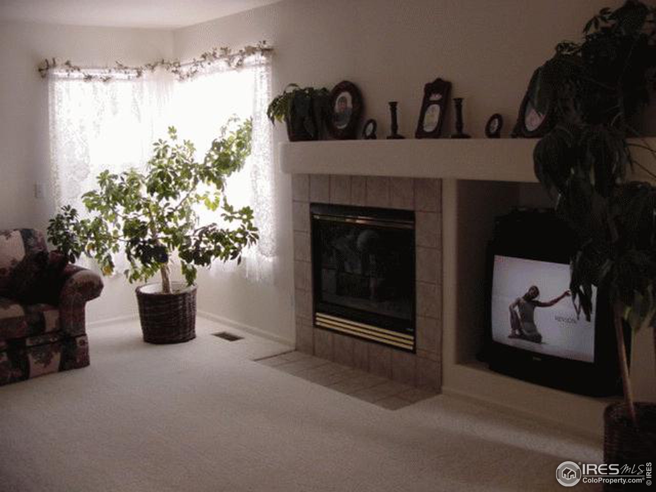 1317 Trail Ridge Road Longmont, CO 80504 - Photo 2 of 8 a living room with furniture and a fireplace