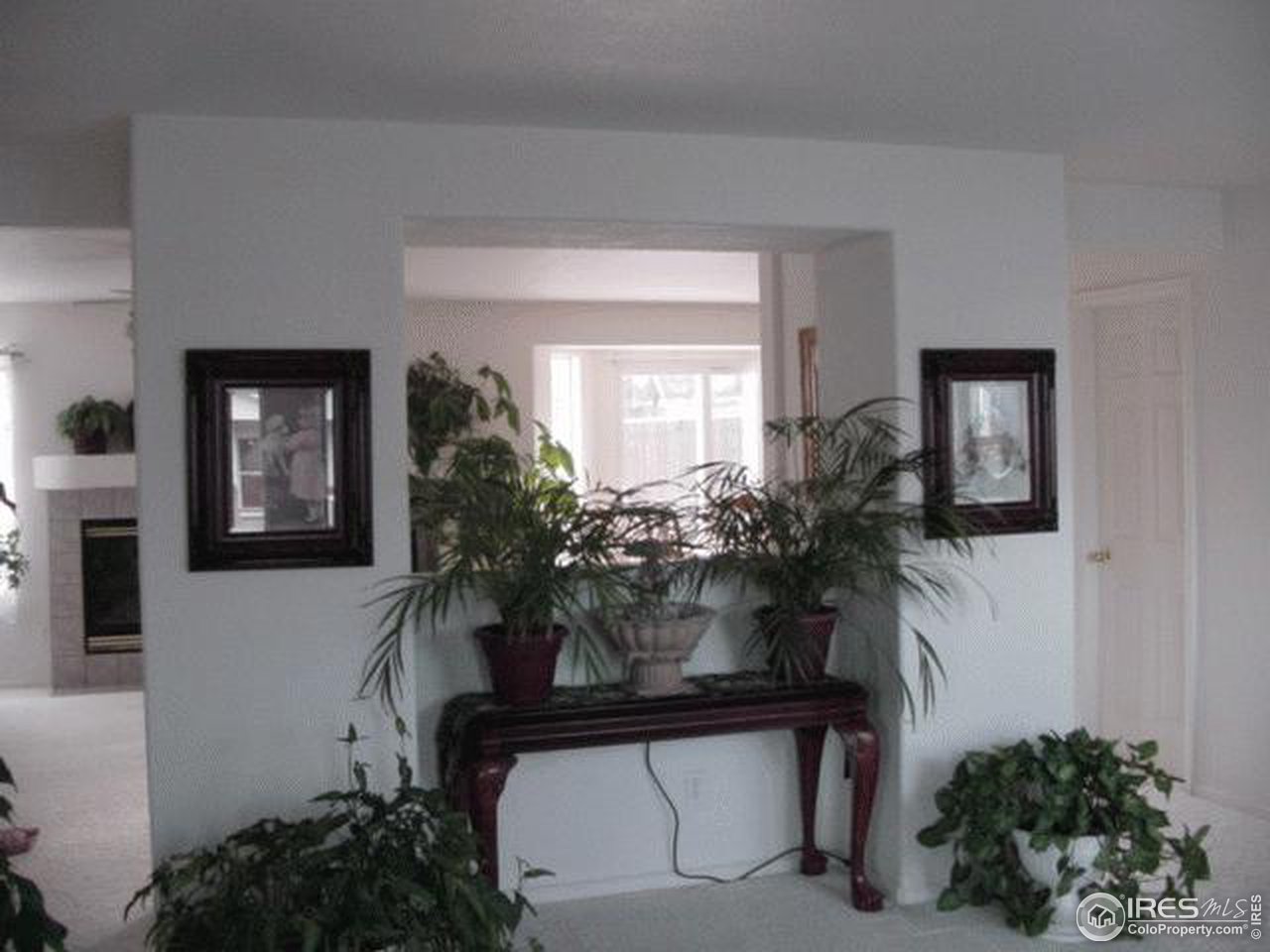 1317 Trail Ridge Road Longmont, CO 80504 - Photo 4 of 8 a living room with furniture and a potted plant