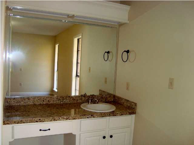 121 Brandy Run Road Brandon, MS 39047 - Photo 11 of 16 Master vanity