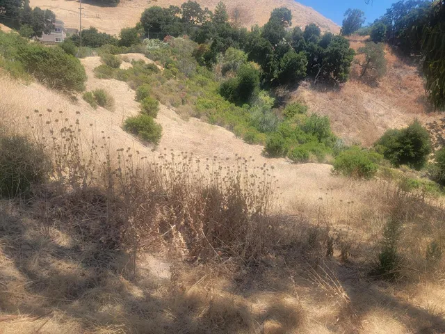 a view of a lake view with houses in back