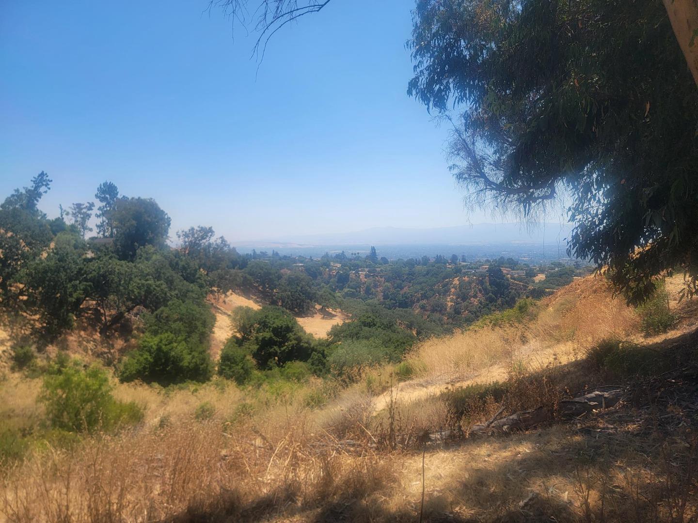 0 Claitor Way San Jose, CA 95132 - Photo 3 of 6 a view of a yard with a tree