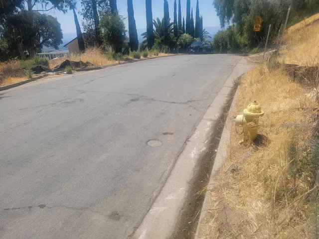 a view of a forest with trees in the background