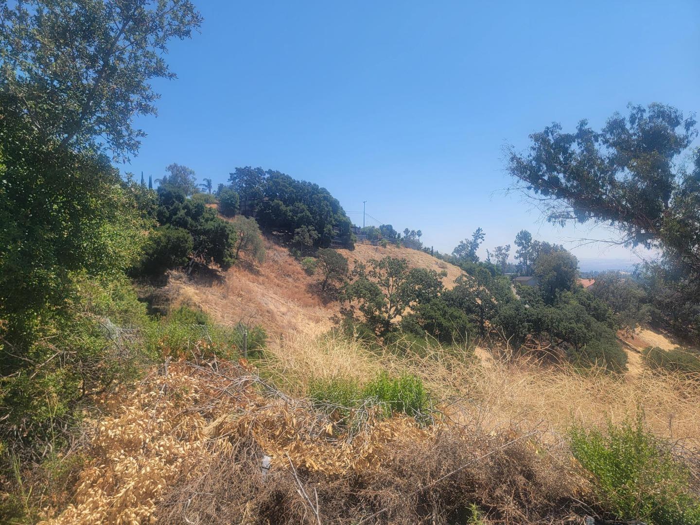 0 Claitor Way San Jose, CA 95132 - Photo 6 of 6 a view of a forest with trees in the background