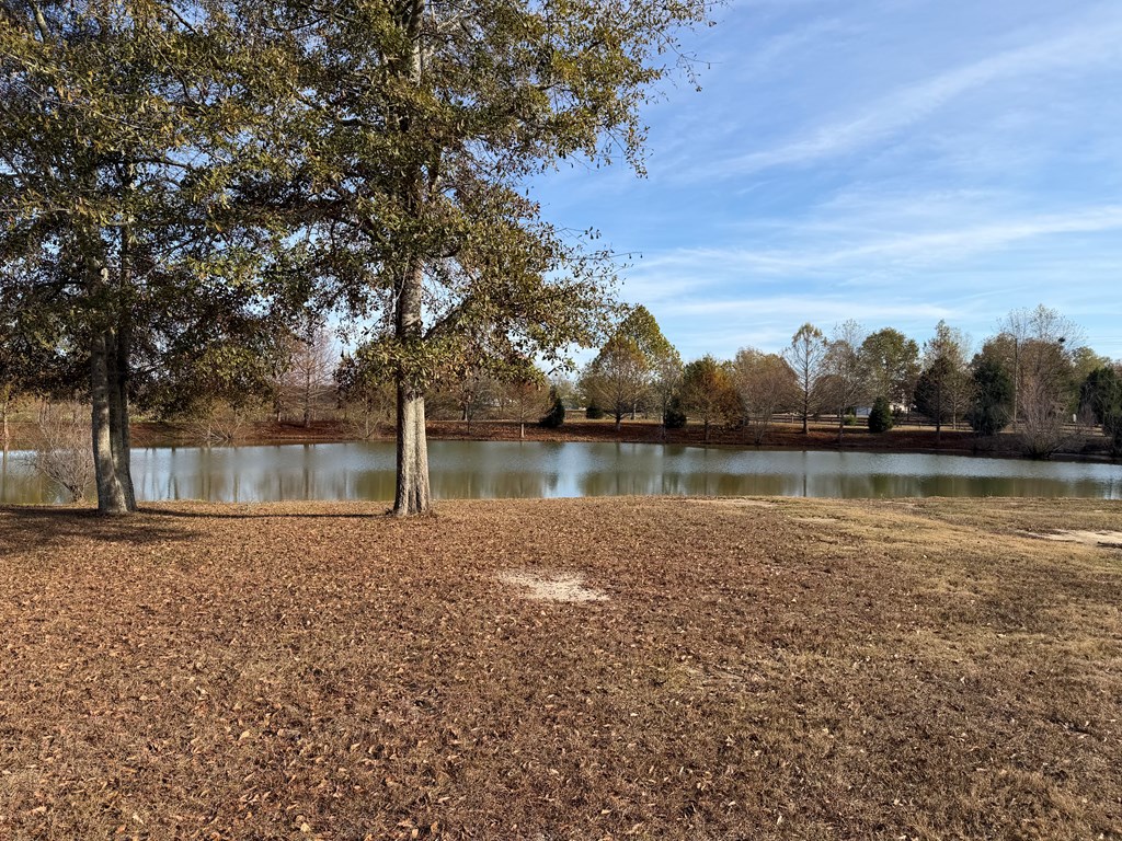 290 Hicks Road Dothan, AL 36303 - Photo 5 of 8