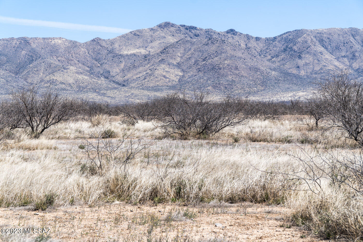 4-acres South Collins Farm Road Willcox, AZ 85643 - Photo 3 of 18 Gallery Image 3