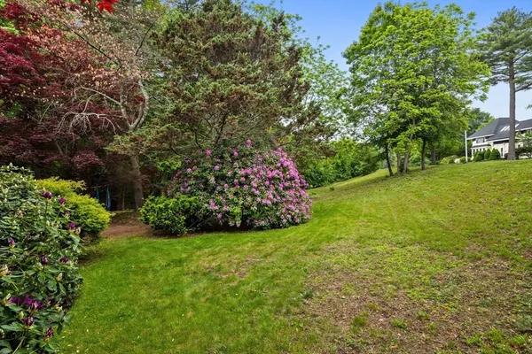 a view of a garden with a house in the background