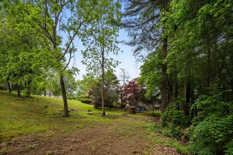 a view of a tree in a yard