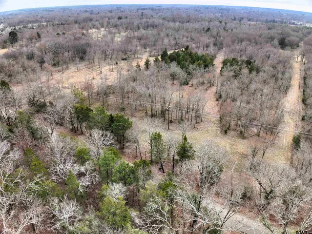 an aerial view of mountain with trees around