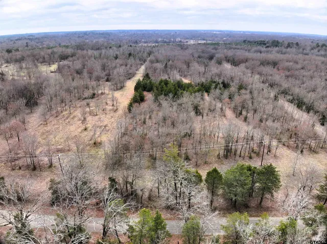 a view of city and mountain