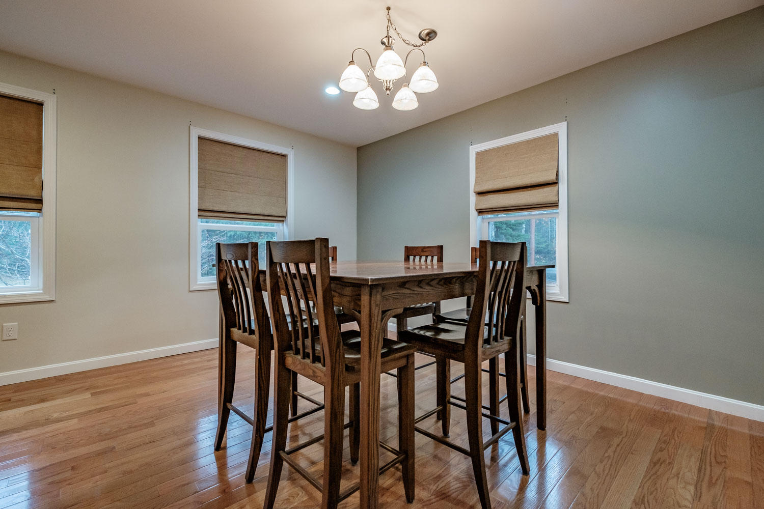 205 Burnham Road Gorham, ME 04038 - Photo 24 of 65 20181113gp-62026