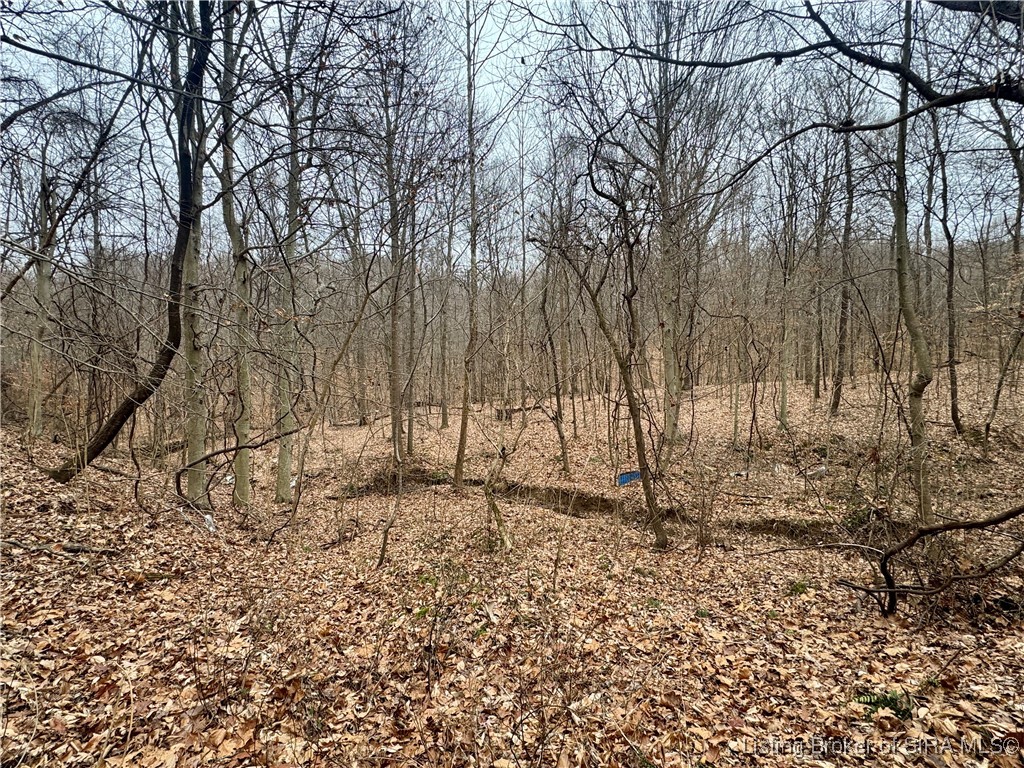 9202 East Garrison Hollow Road, Unit A Salem, IN 47167 - Photo 20 of 40