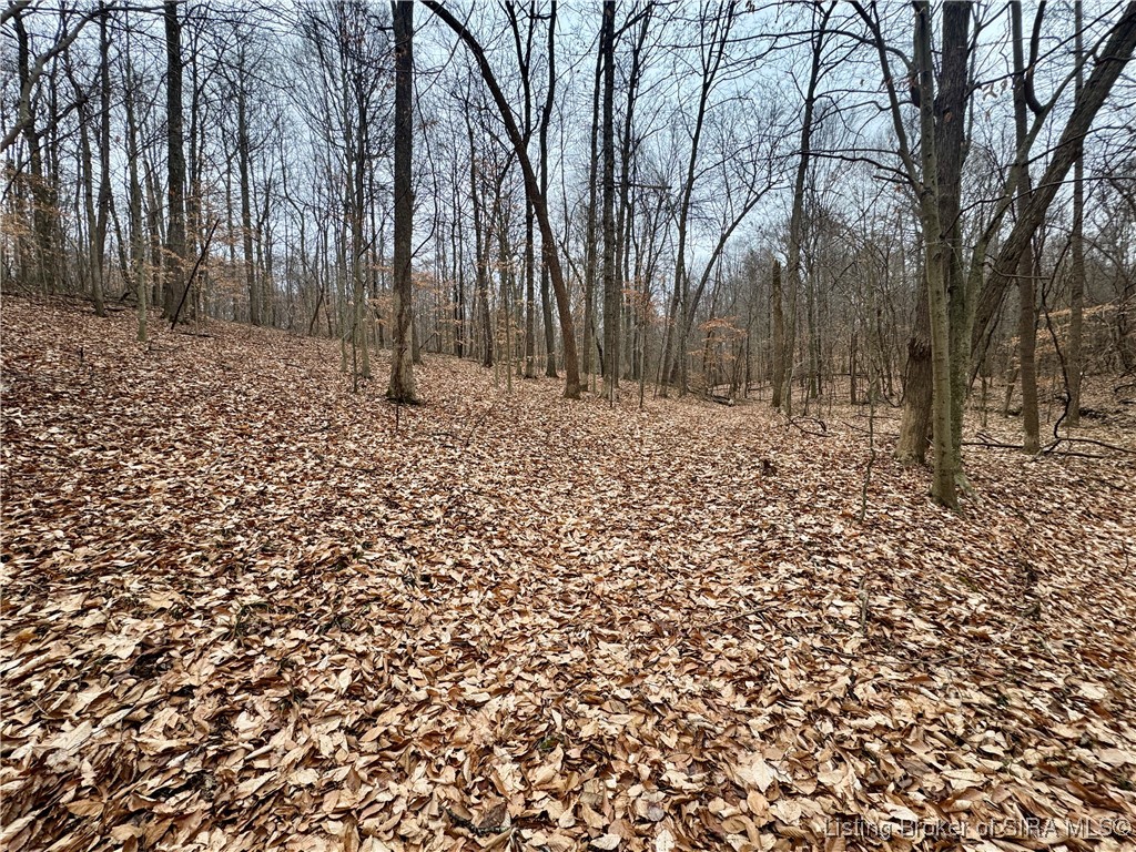9202 East Garrison Hollow Road, Unit A Salem, IN 47167 - Photo 24 of 40