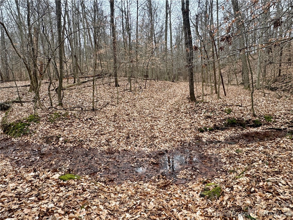 9202 East Garrison Hollow Road, Unit A Salem, IN 47167 - Photo 26 of 40