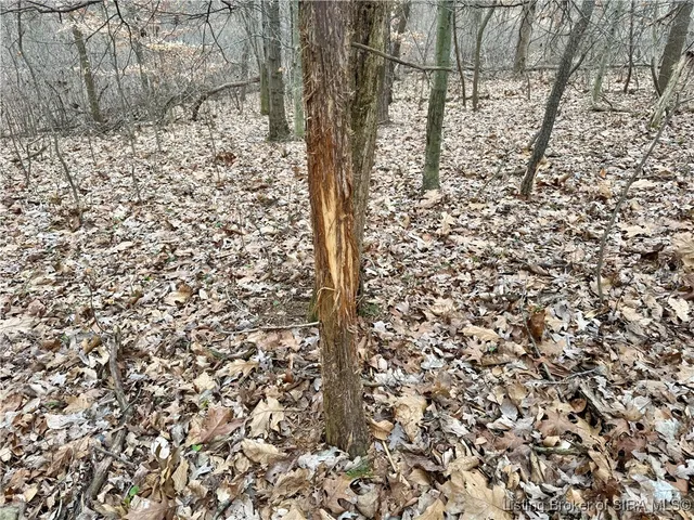 $424,900 | 9202 East Garrison Hollow Road, Unit A, Salem, IN 47167