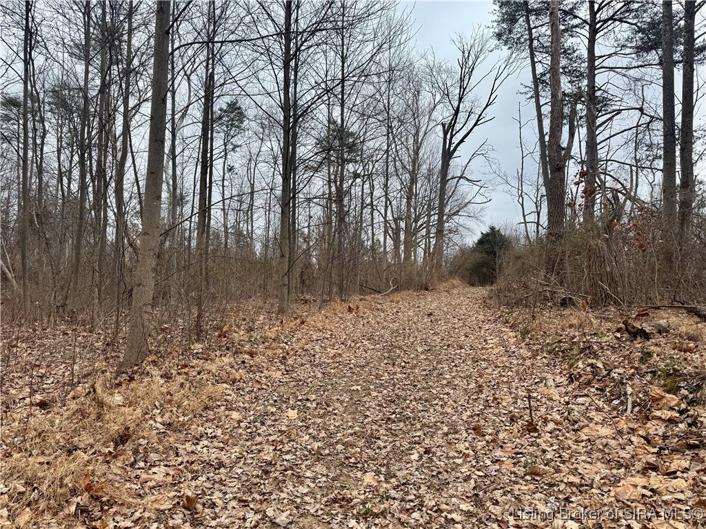 9202 East Garrison Hollow Road, Unit A Salem, IN 47167 - Photo 3 of 40