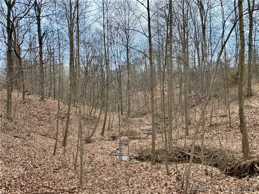 9202 East Garrison Hollow Road, Unit A Salem, IN 47167 - Photo 6 of 40