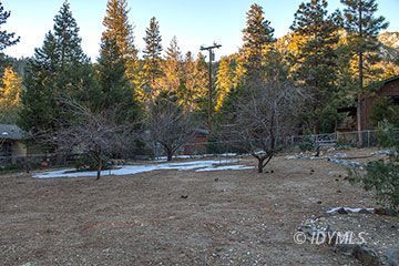 25079 Rim Rock Road Idyllwild, CA 92549 - Photo 8 of 31 Yard