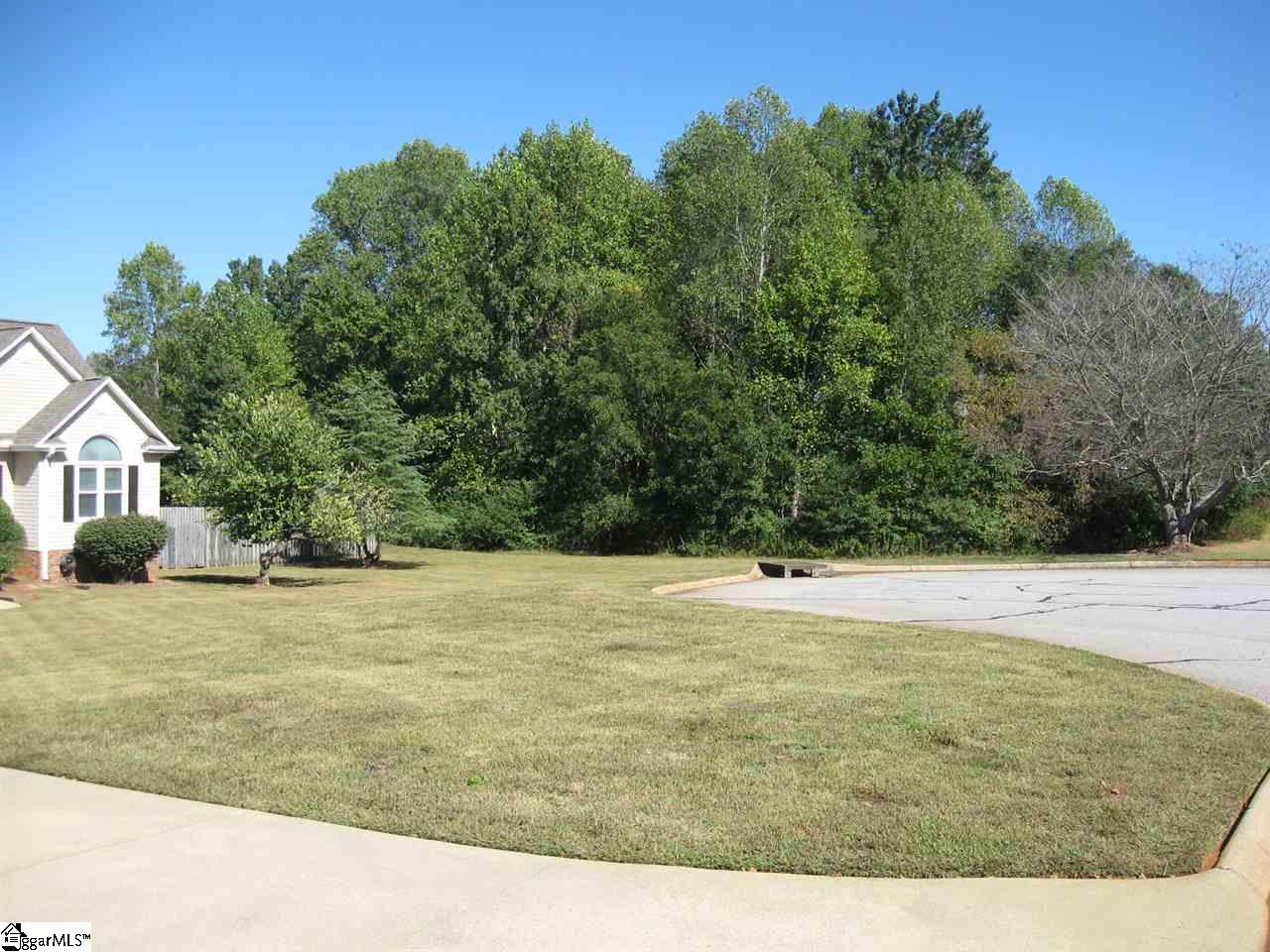9 Farmstead Way Fountain Inn, SC 29644 - Photo 3 of 20
