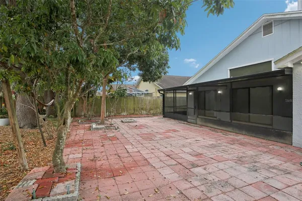 a view of a yard with plants and trees