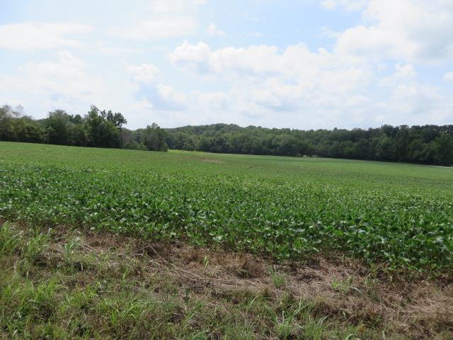 137 Hester Creek Road Elora, TN 37328 - Photo 1 of 7 Gallery Image 1