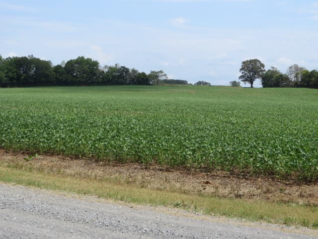 137 Hester Creek Road Elora, TN 37328 - Photo 2 of 7 Scenic Area