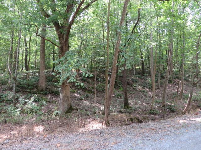 137 Hester Creek Road Elora, TN 37328 - Photo 6 of 7 Wonderful woods