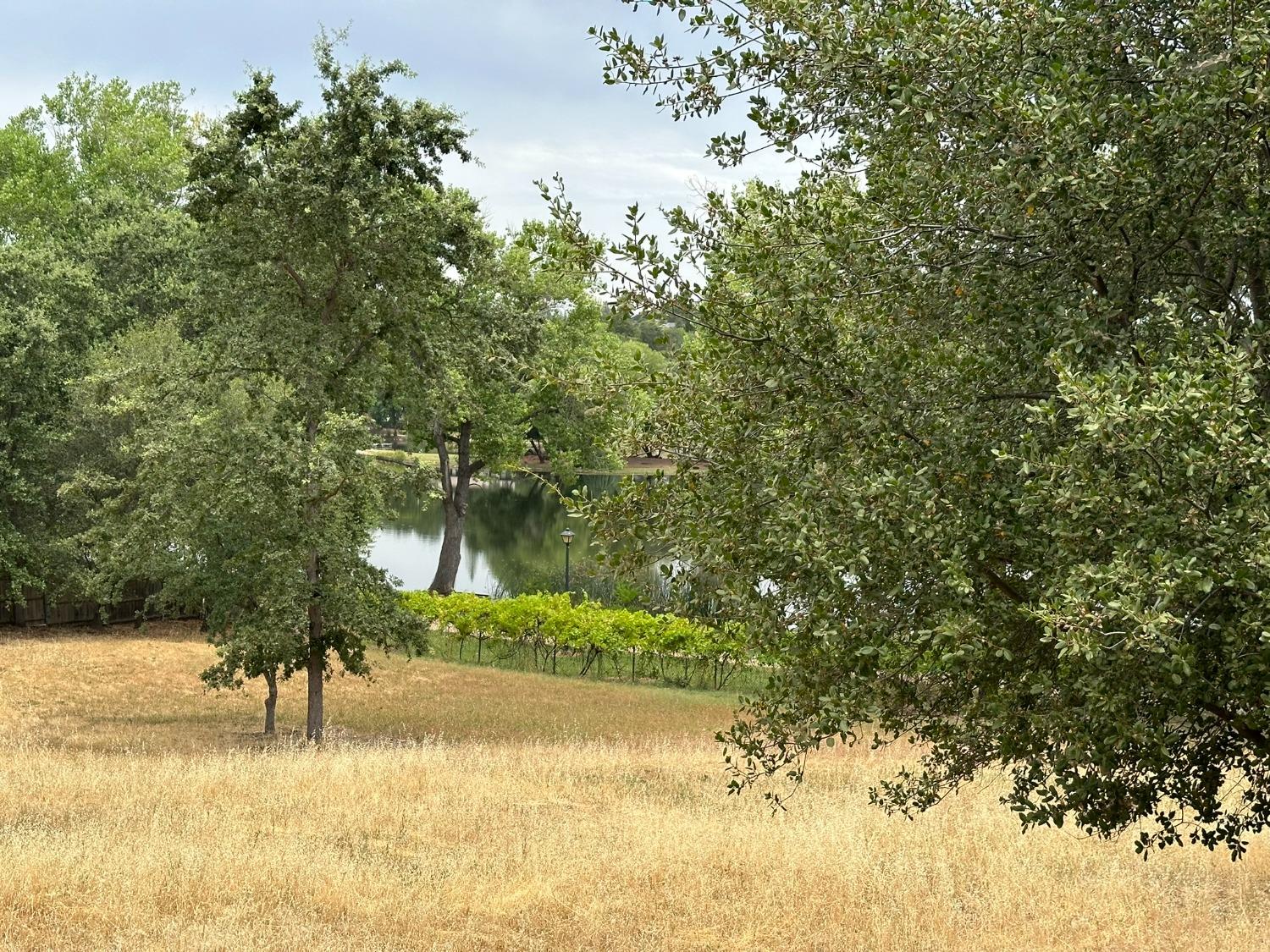 3053 Cambridge Road Cameron Park, CA 95682 - Photo 12 of 22 a view of back yard of a house