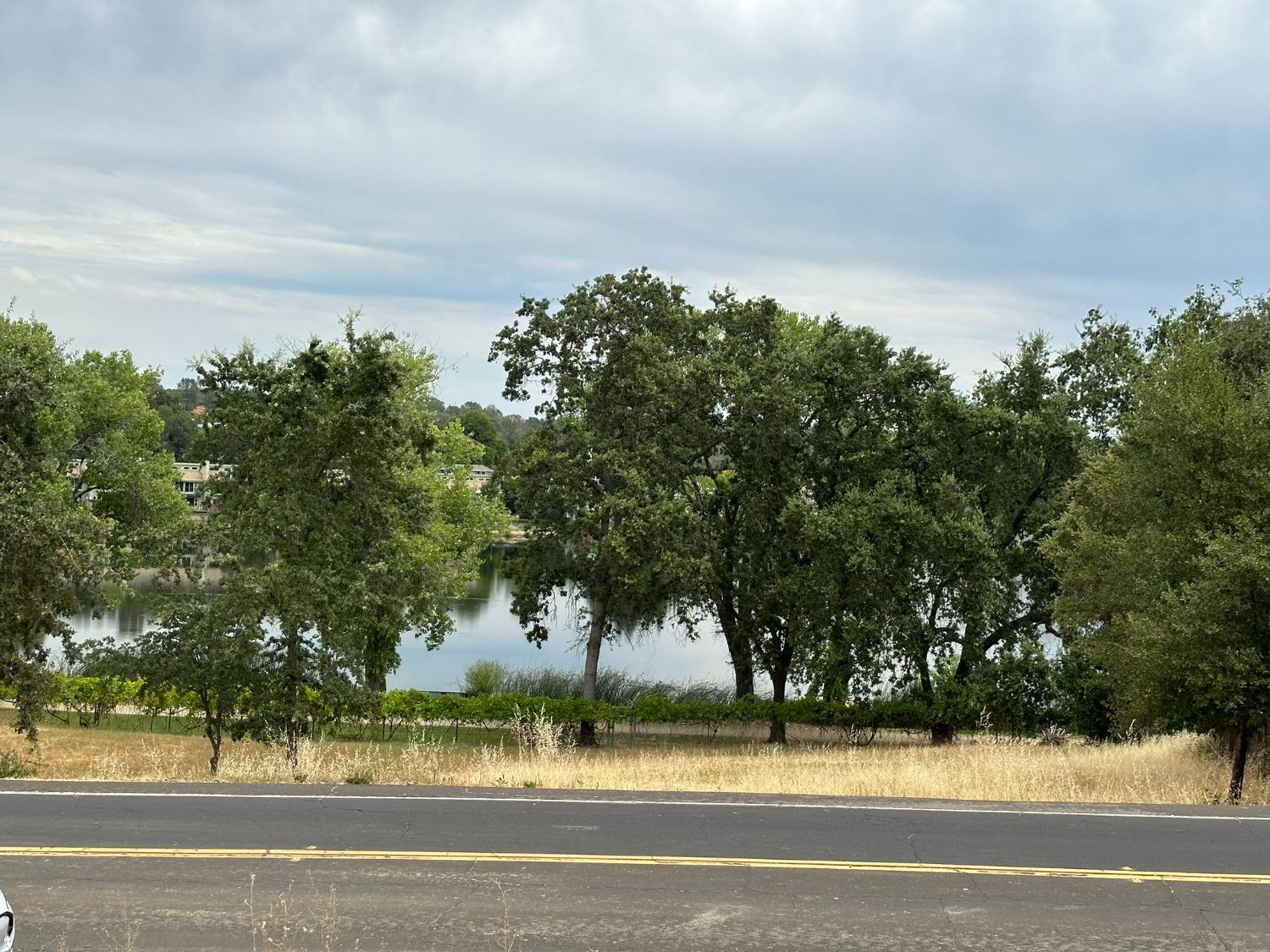 3053 Cambridge Road Cameron Park, CA 95682 - Photo 16 of 22 a view of a yard and a fountain