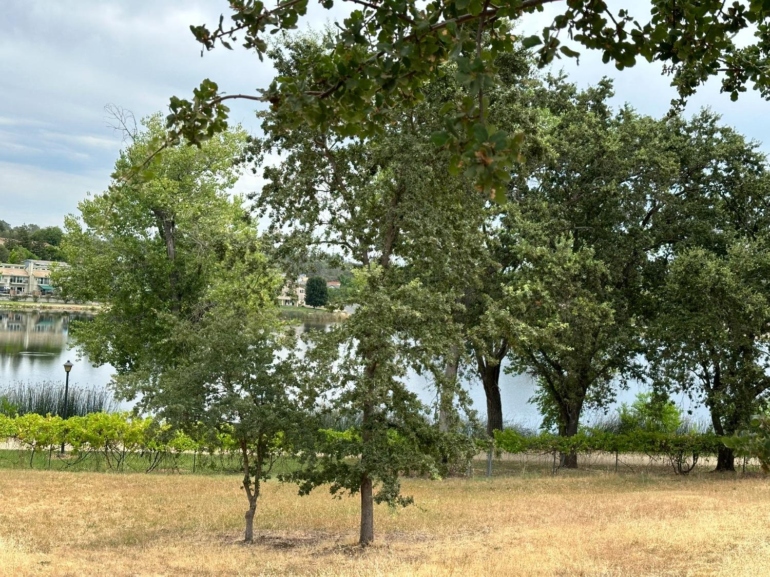 3053 Cambridge Road Cameron Park, CA 95682 - Photo 2 of 22 a view of a yard with a fountain