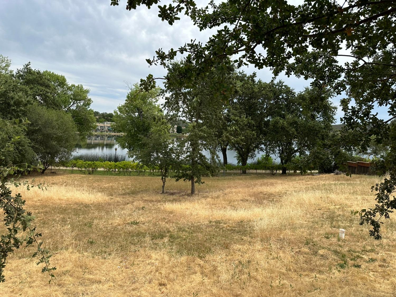 3053 Cambridge Road Cameron Park, CA 95682 - Photo 3 of 22 a view of yard with trees