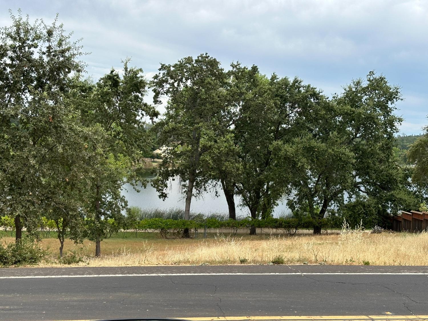 3053 Cambridge Road Cameron Park, CA 95682 - Photo 4 of 22 a view of a yard