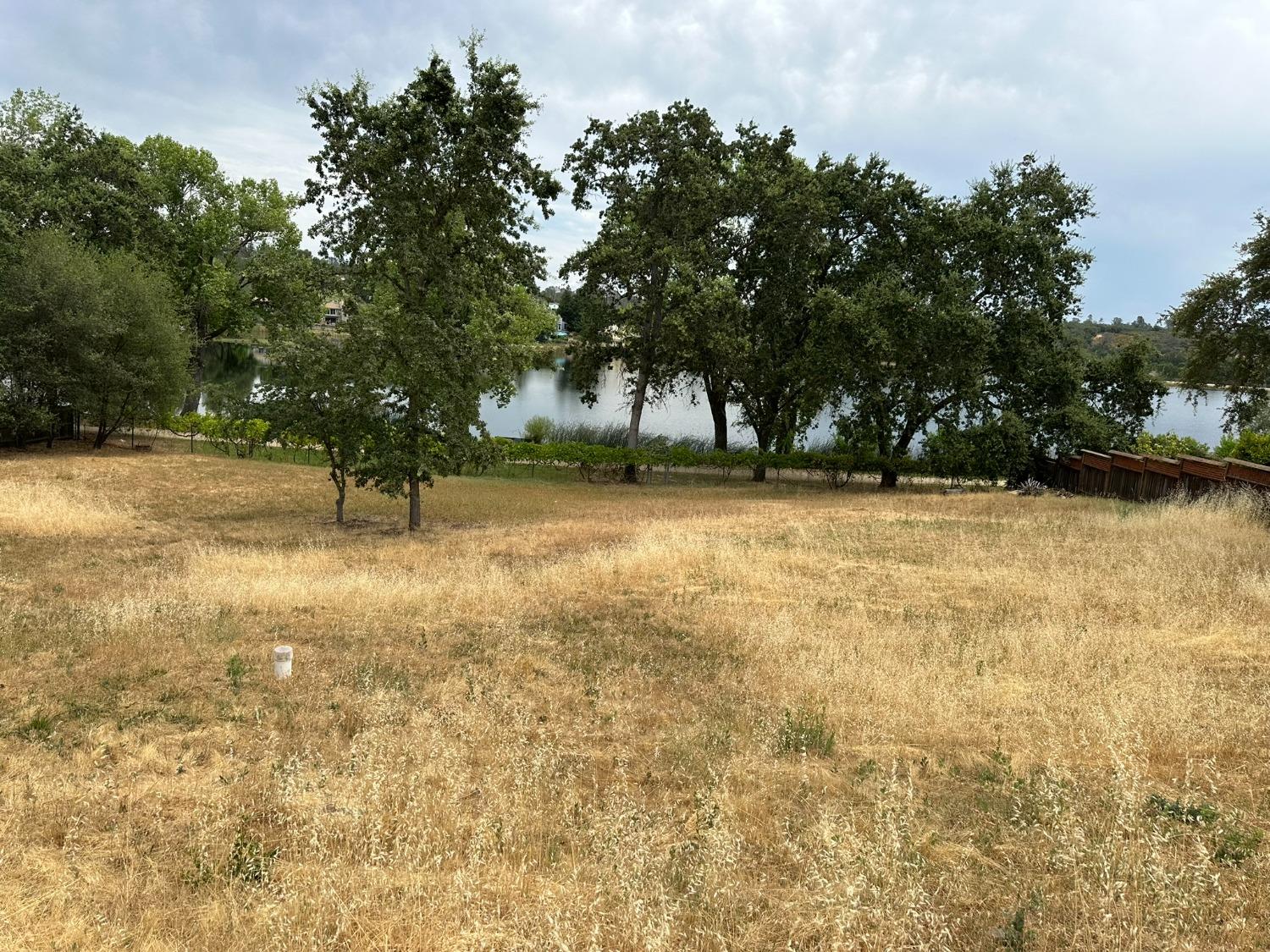 3053 Cambridge Road Cameron Park, CA 95682 - Photo 6 of 22 a view of yard with trees