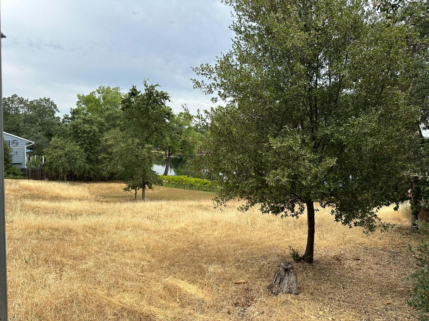 3053 Cambridge Road Cameron Park, CA 95682 - Photo 10 of 22 a view of a yard with a tree