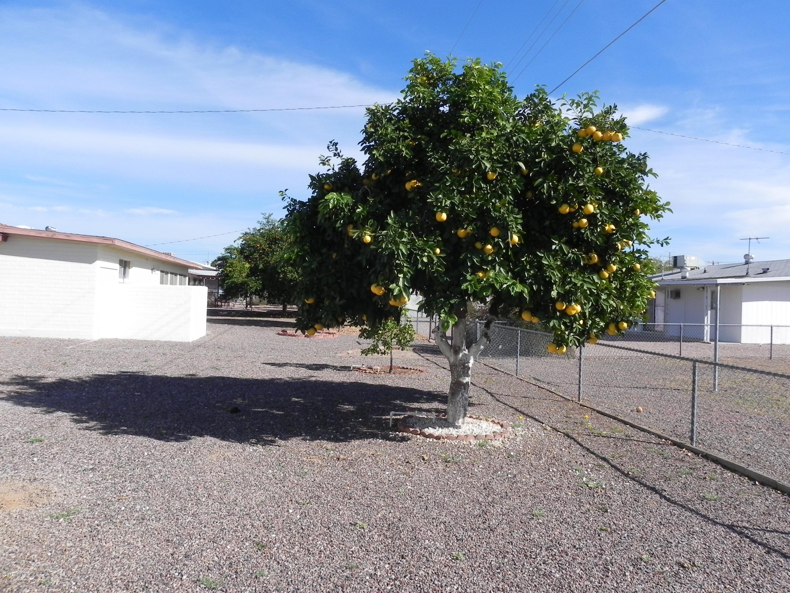 5643 Casper Road Mesa, AZ 85205 - Photo 19 of 20 DSCN4294