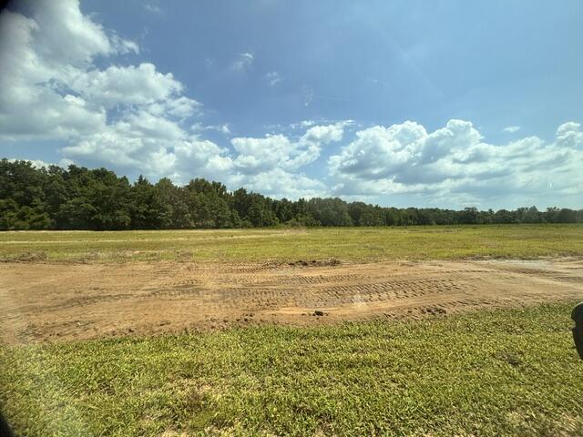 2003 Driggers Lane Manning, SC 29102 - Photo 3 of 3 IMG_0369 (1)