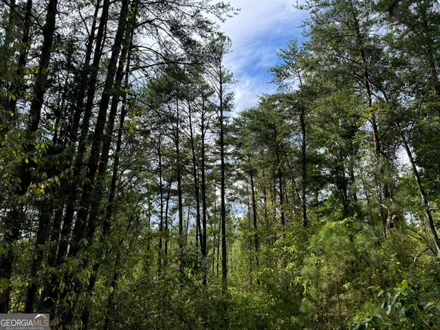 $42,000 | 8 Adams Road, Bankston, AL 35542