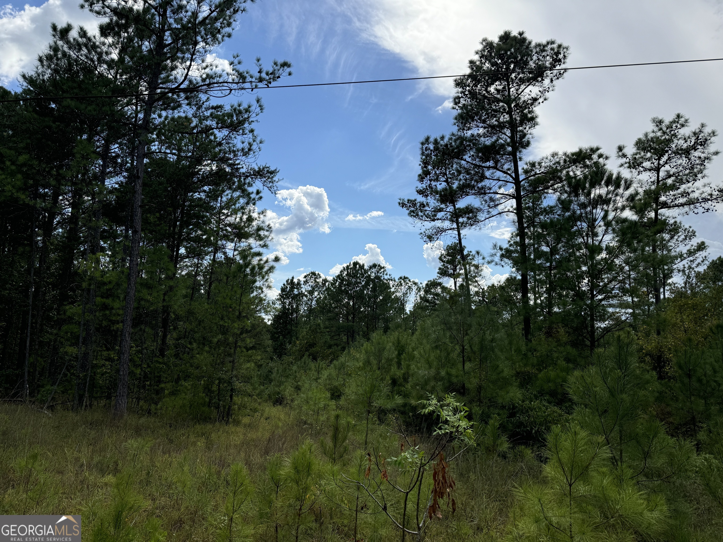 8 Adams Road Bankston, AL 35542 - Photo 5 of 7