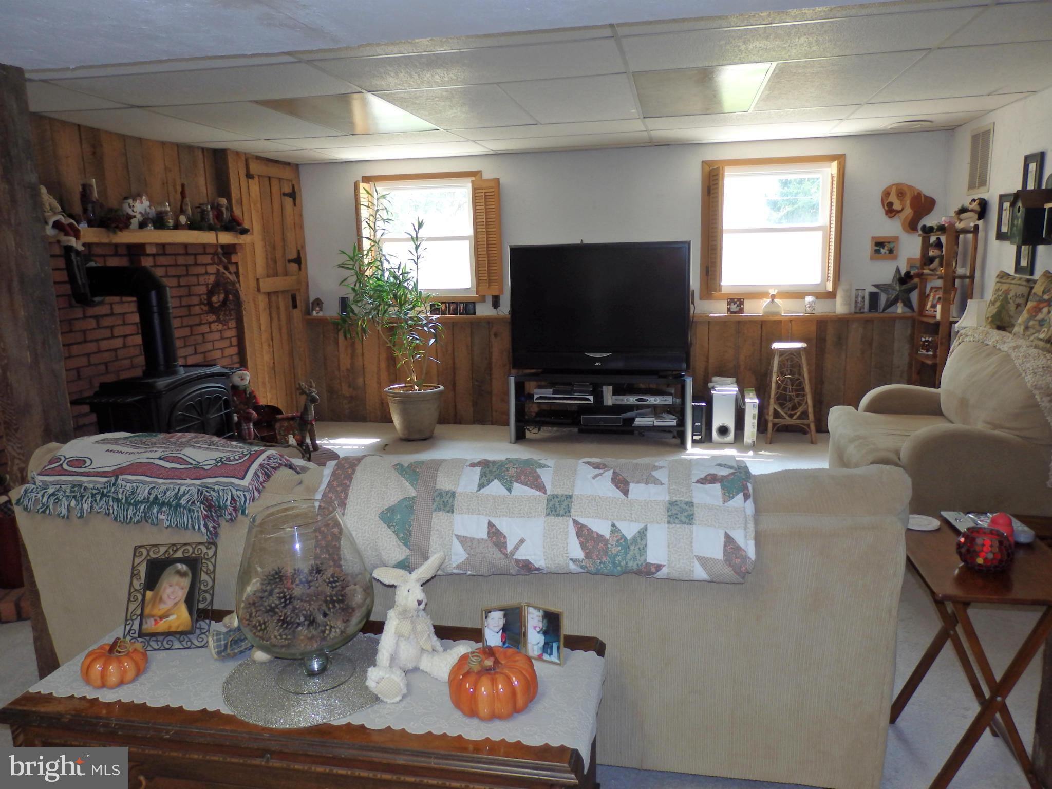 9212 Bethel Road Frederick, MD 21702 - Photo 19 of 30 Lower level rec room
