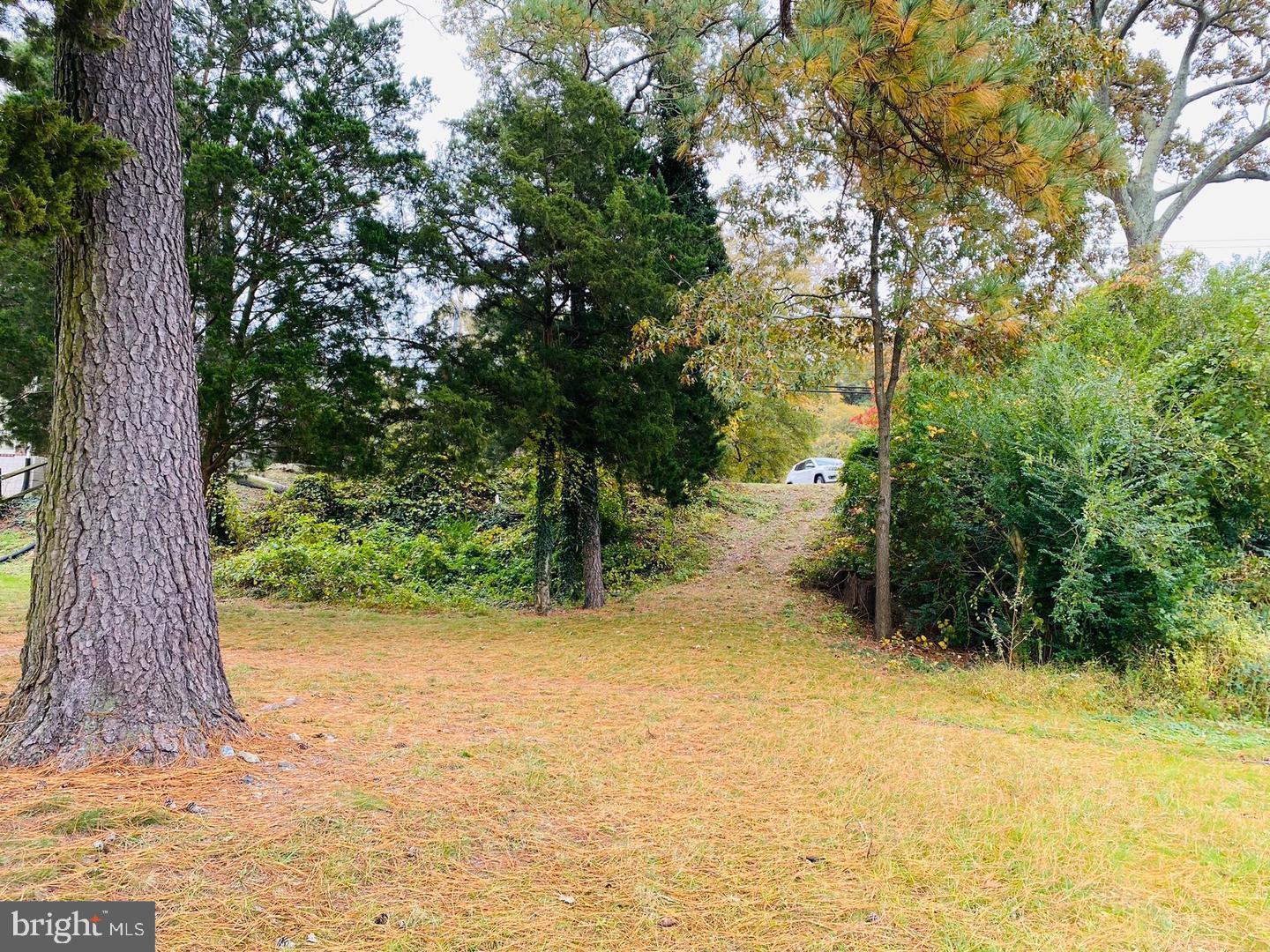 0 Riverside Drive Salisbury, MD 21801 - Photo 11 of 24