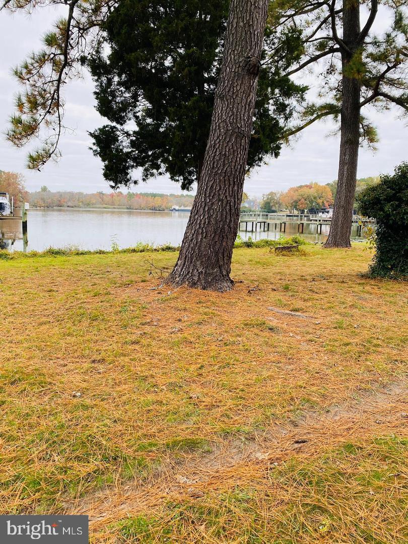 0 Riverside Drive Salisbury, MD 21801 - Photo 14 of 24