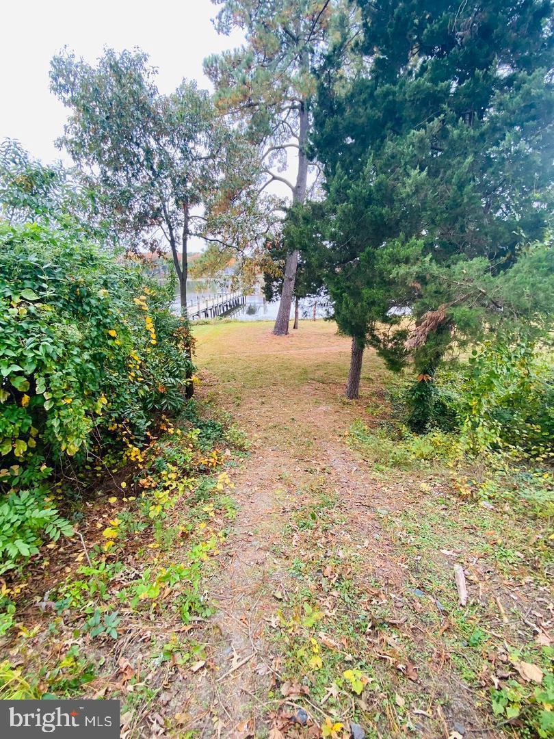 0 Riverside Drive Salisbury, MD 21801 - Photo 16 of 24