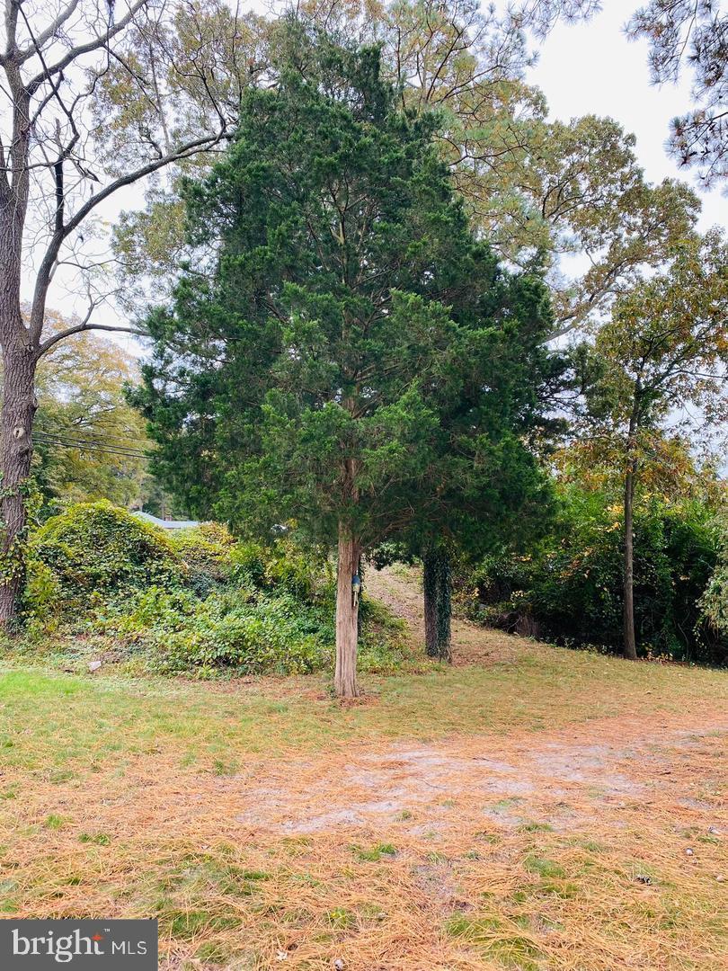 0 Riverside Drive Salisbury, MD 21801 - Photo 9 of 24