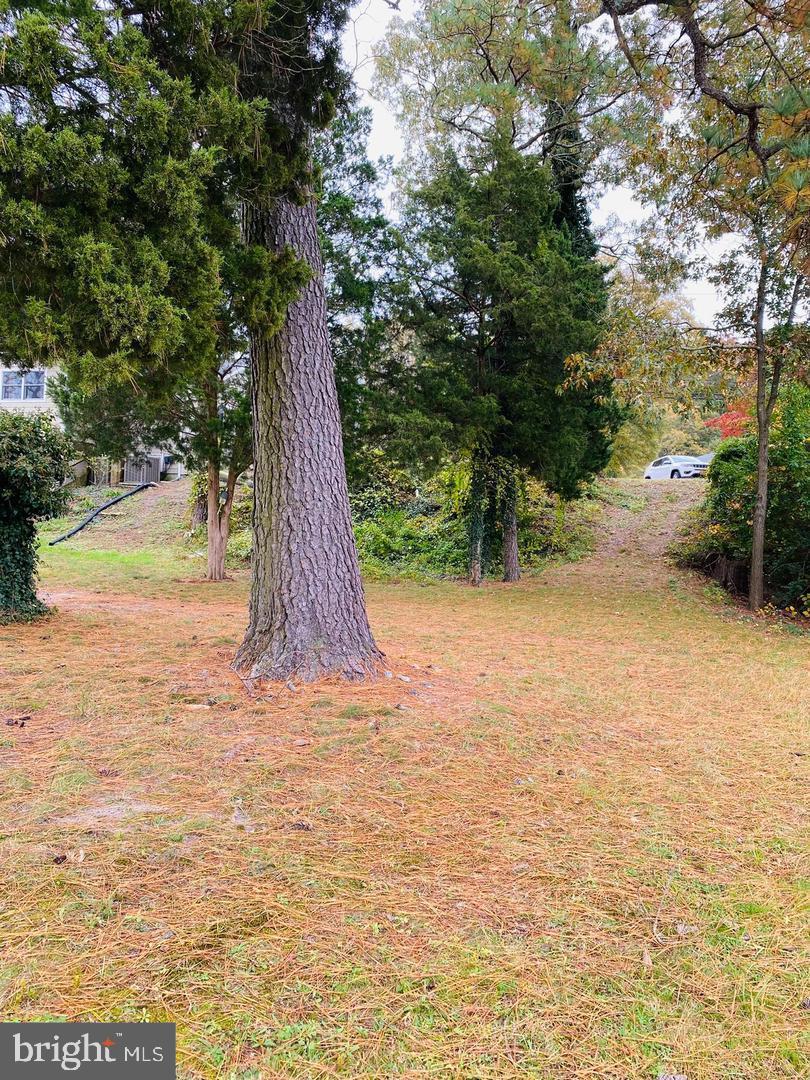 0 Riverside Drive Salisbury, MD 21801 - Photo 10 of 24