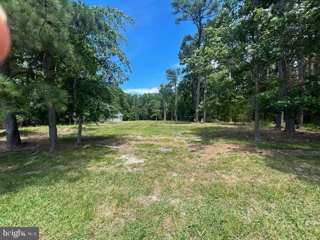 7510 Quaker Neck Road Bozman, MD 21612 - Photo 21 of 31 Gallery Image 21